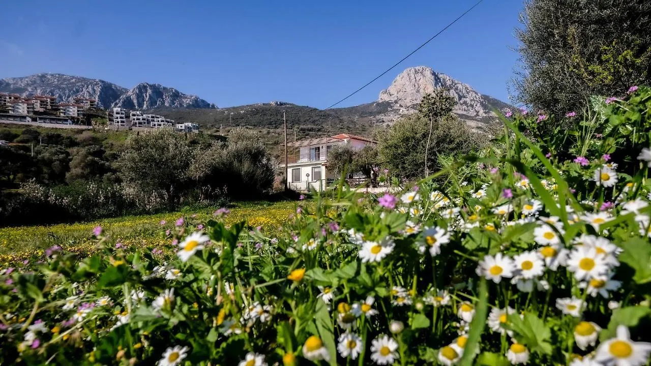 Mimas Home Hisarcik Holiday home