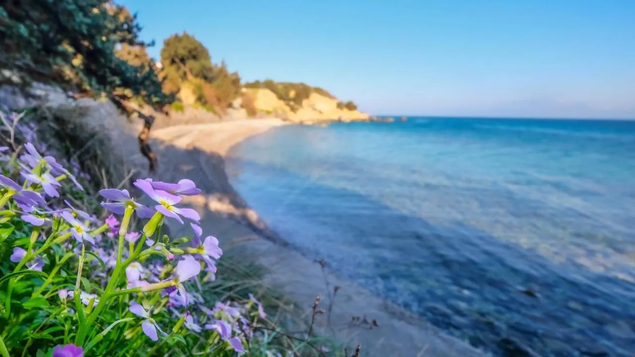 Holiday home Mimas Home Hisarcik